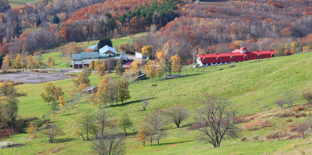 丸加山高原伝習館２