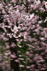 桜色のペイント