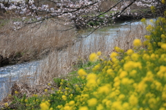 春の小川