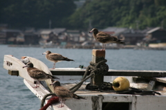 夏の潮風