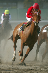 浦和競馬