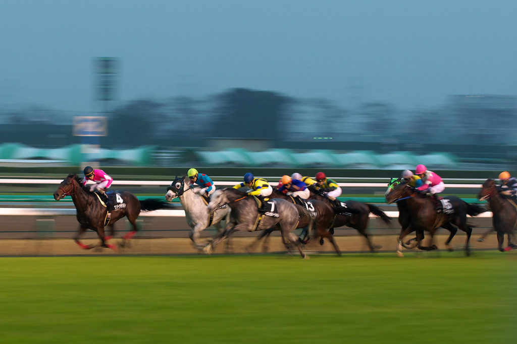 競馬流し撮り