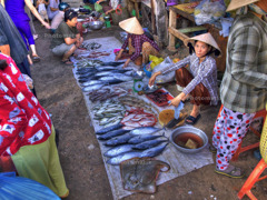 市場の魚屋