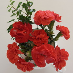 RIMG0746