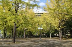 IMG_1546_R