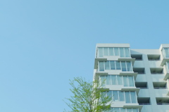 澄んだ空