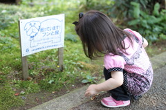 何か見つけた様子！