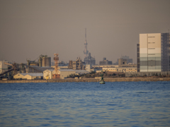 Sky tree from YOKOHAMA