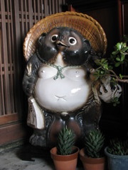 たぬきさん