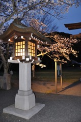 DSC_0045静岡護国神社