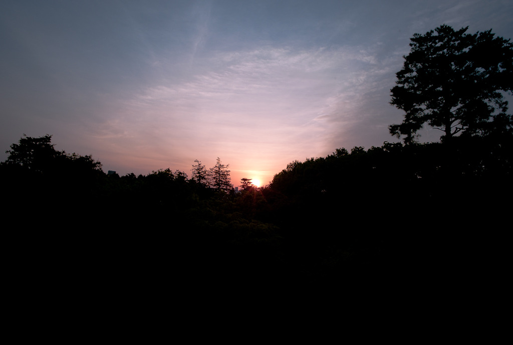 From my house.