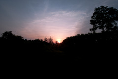From my house.