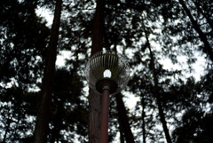 L9990170