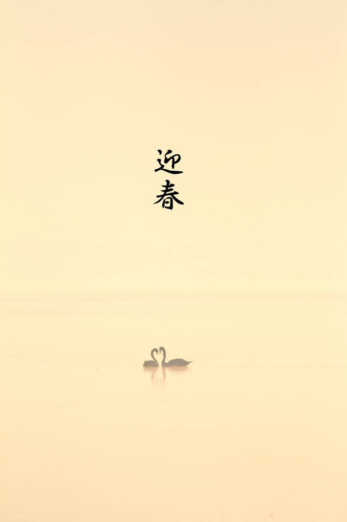 明けましておめでとうございます。。。