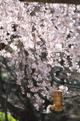 東漸寺