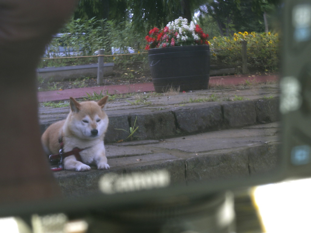 背後に気配・・・