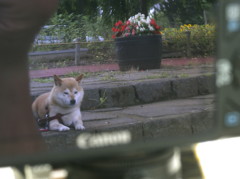 背後に気配・・・