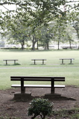 雨上がりの朝・・・の公園（^^）の巻。