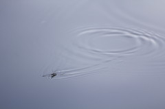 ９月
