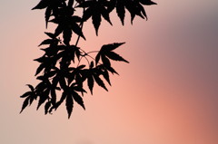 秋色に・・・