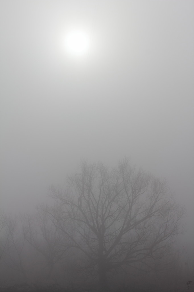 霧～～