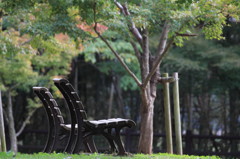 貸切公園。。。