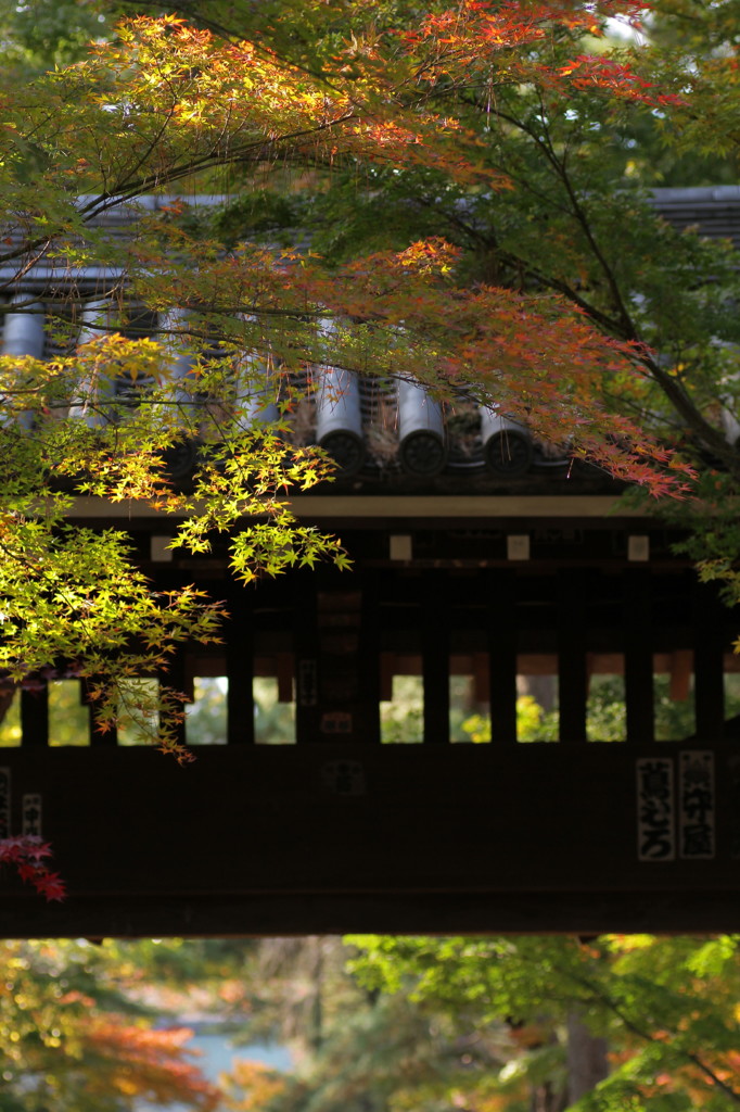 東漸寺