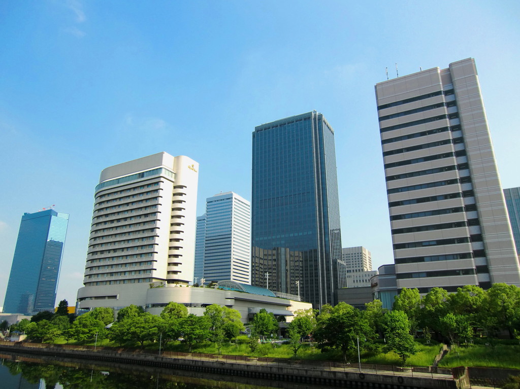 初夏の青空と緑