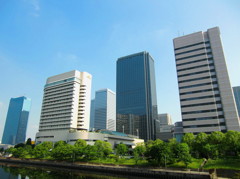 初夏の青空と緑