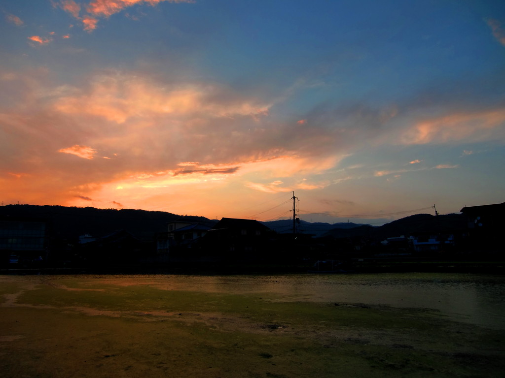 夕立の後