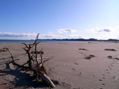 とある砂浜