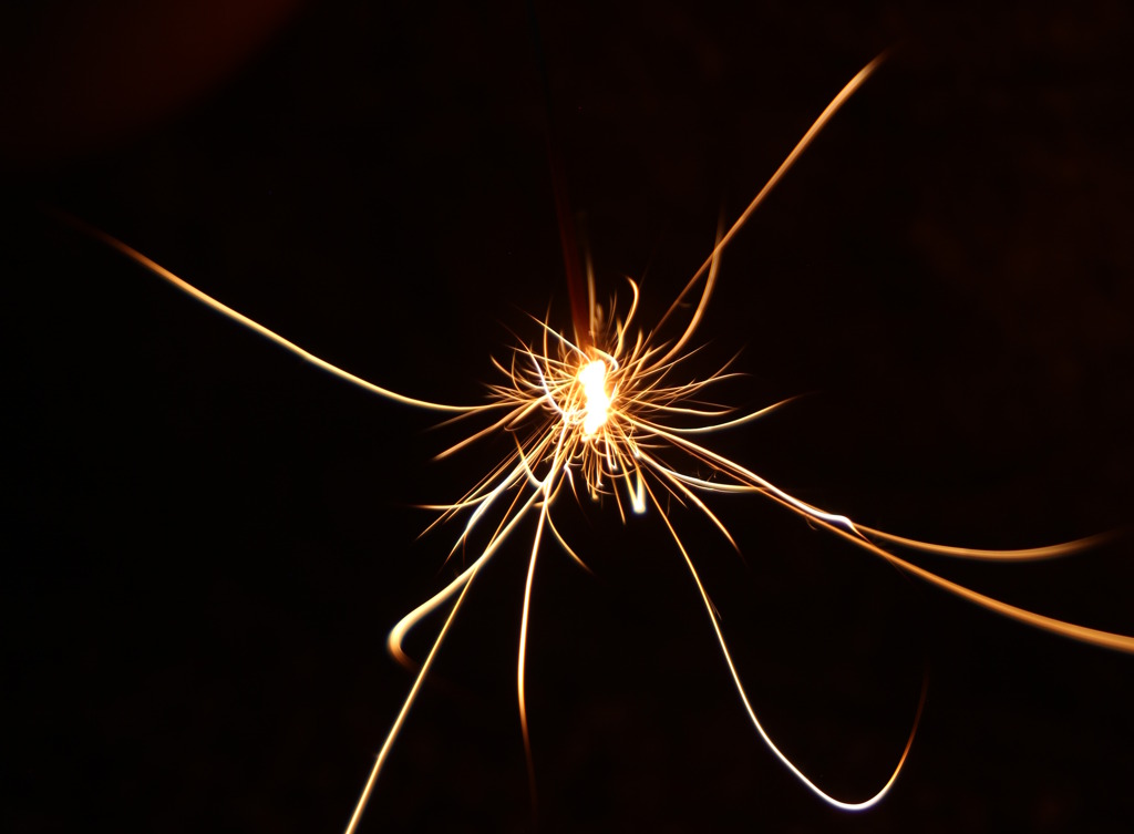 fireworks　蜘蛛