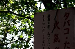 うろついたりしない