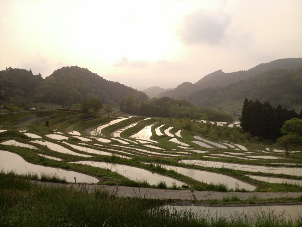 大山千枚田