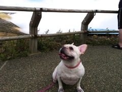 宮城お釜でのトロ