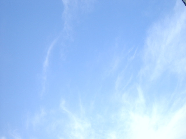 _空