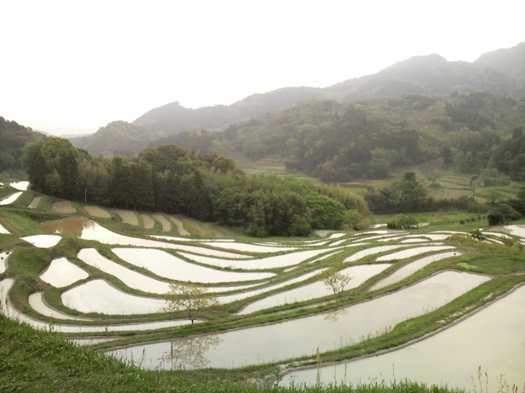 大山千枚田