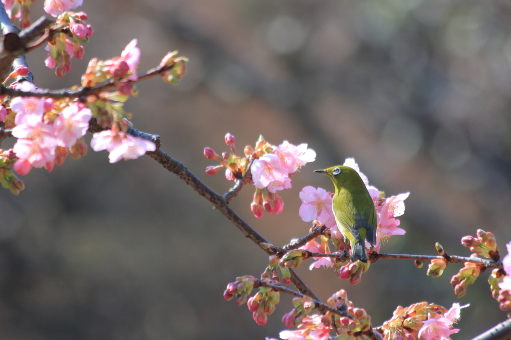 甘い香り