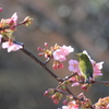 甘い香り
