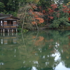 名園に佇む