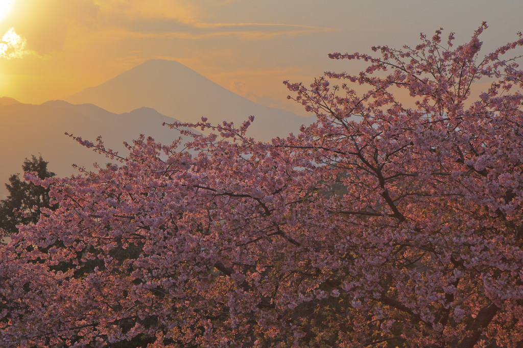 春の夕暮れ
