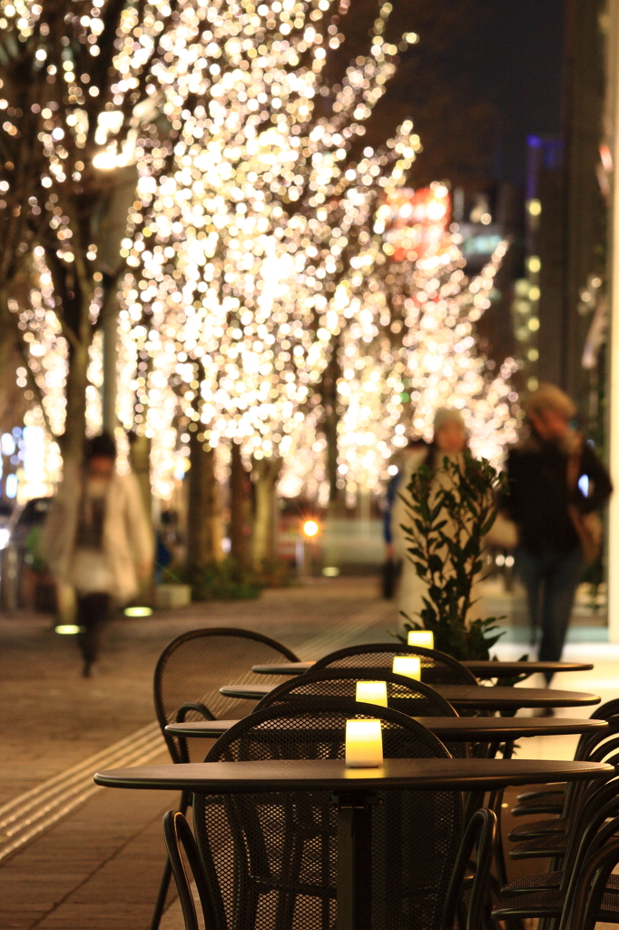 冬の散歩道