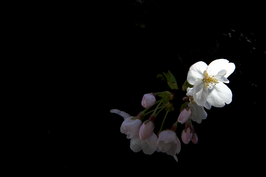 light
