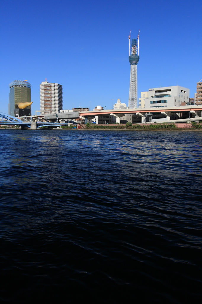 隅田川～スカイツリーを臨む