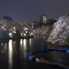 雨の夜～千鳥ヶ淵緑道