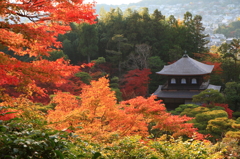 秋色に染まる銀閣寺