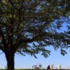 君は何思う