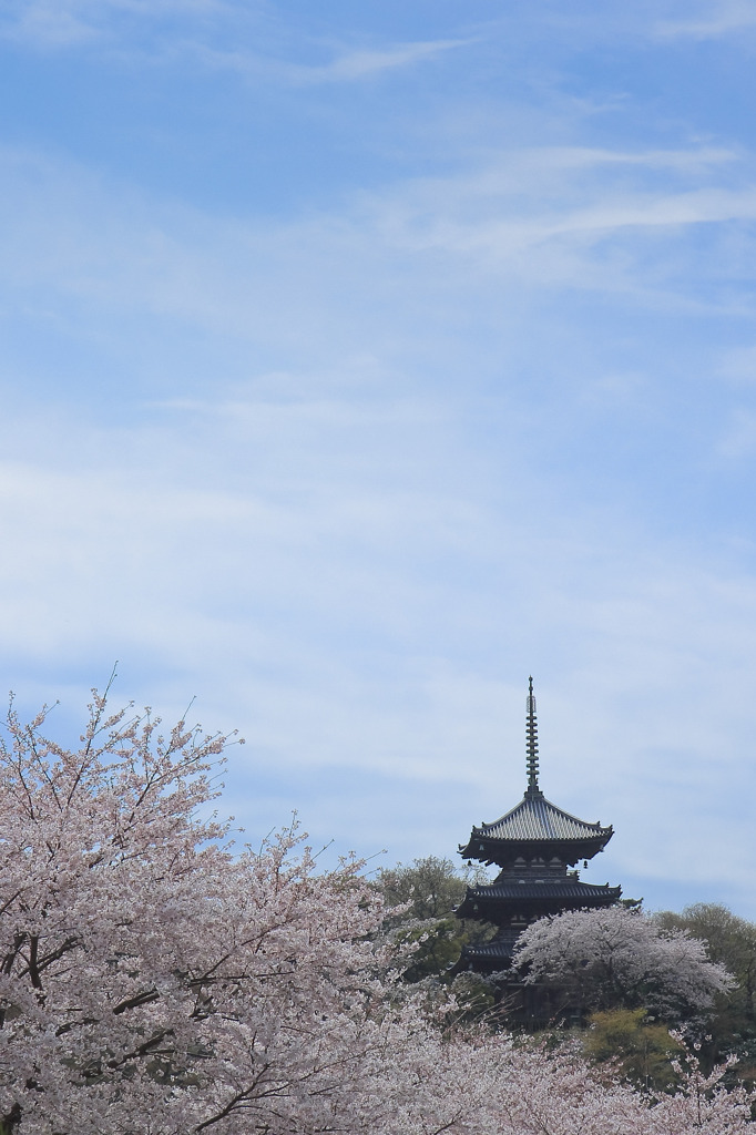 美し国