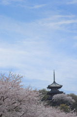 美し国