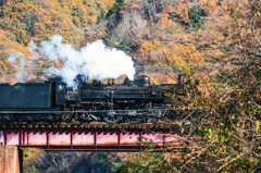 紅葉の荒川をゆく